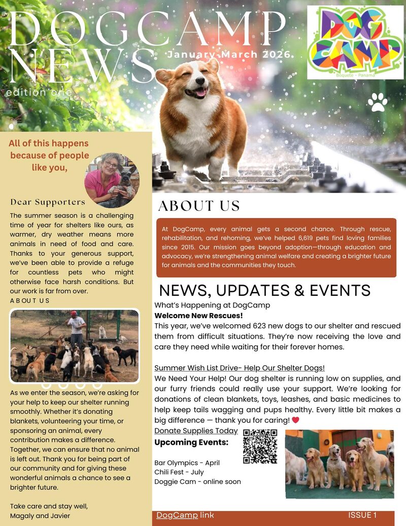 DogCamp Newsletter — 1st Edition 2026 cover