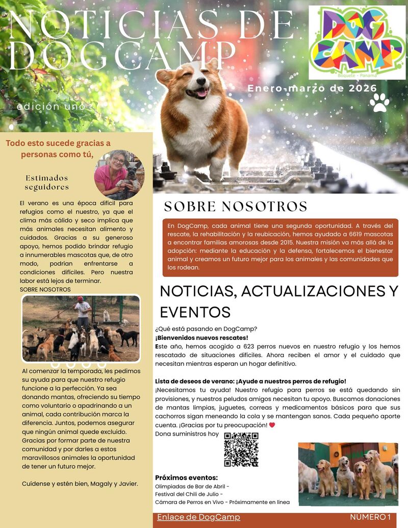 Boletín DogCamp — 1ra Edición 2026 cover