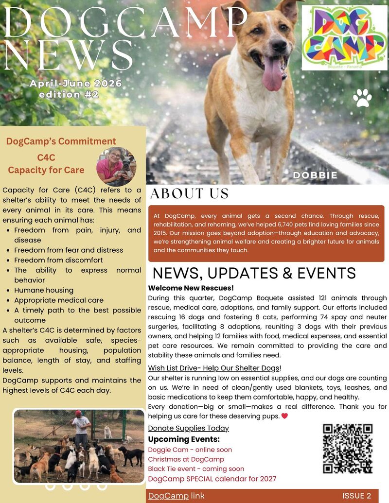 DogCamp Newsletter — 2nd Edition 2026 cover